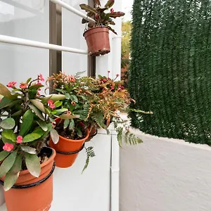 Little House In Center Apartment Almeria